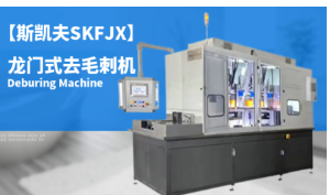 ���Tʽȥë�̙C(j��)